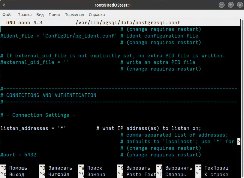 Добавление строки в раздел connections and authenctication