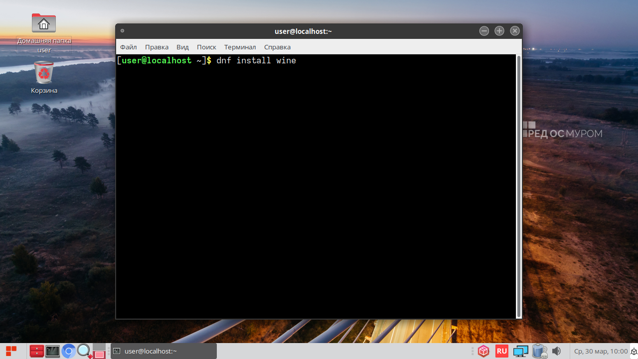 Ввод команды установки Wine
